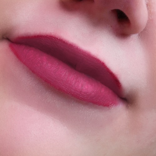 Tragebild von Elevation Pro Supreme Matte Lip Pigment