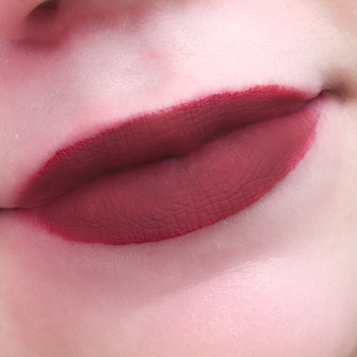 Revolution-Pro-Supreme-Matte-Lip-Pigment-Premonition-Tragebild